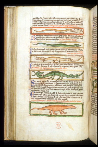 Fem sorters »serpents« – ormar – ur British Librarys manuskriptsamling Harley 3244.